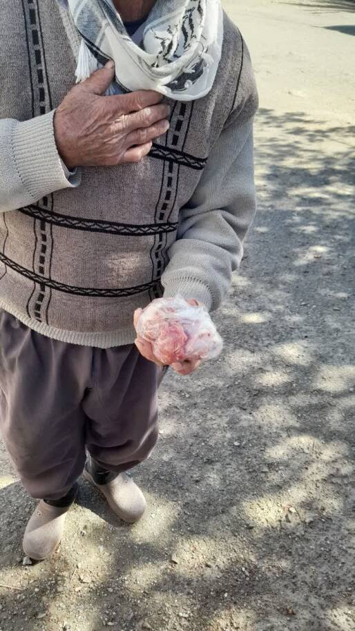 توزیع گوشت